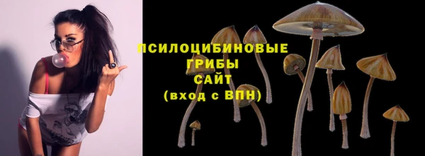 гидропоника Арсеньев