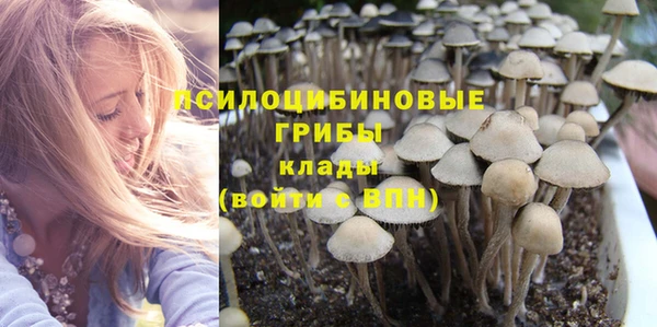 гидропоника Арсеньев