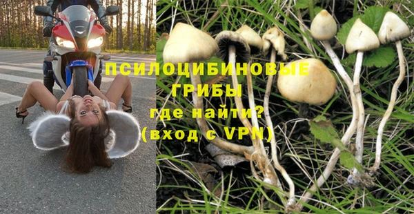 гидропоника Арсеньев