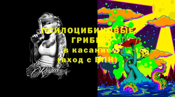 крисы Армянск