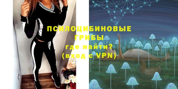 гидра Аркадак