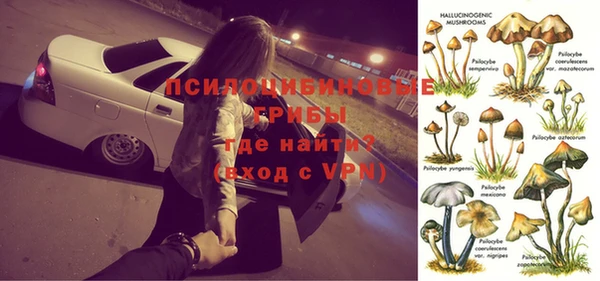 гидра Аркадак