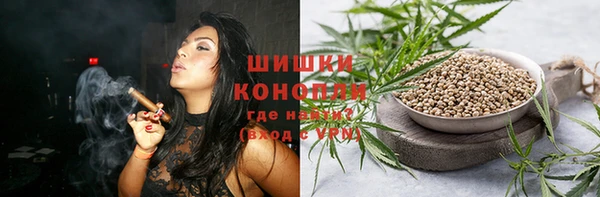 крисы Армянск
