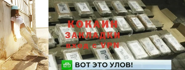 гидра Аркадак