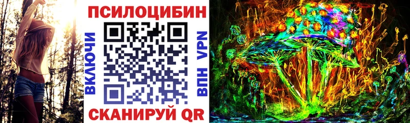 Псилоцибиновые грибы Psilocybine cubensis  купить наркотик  Чадан 